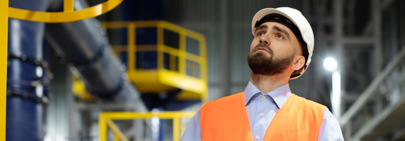 Иллюстрация журнала